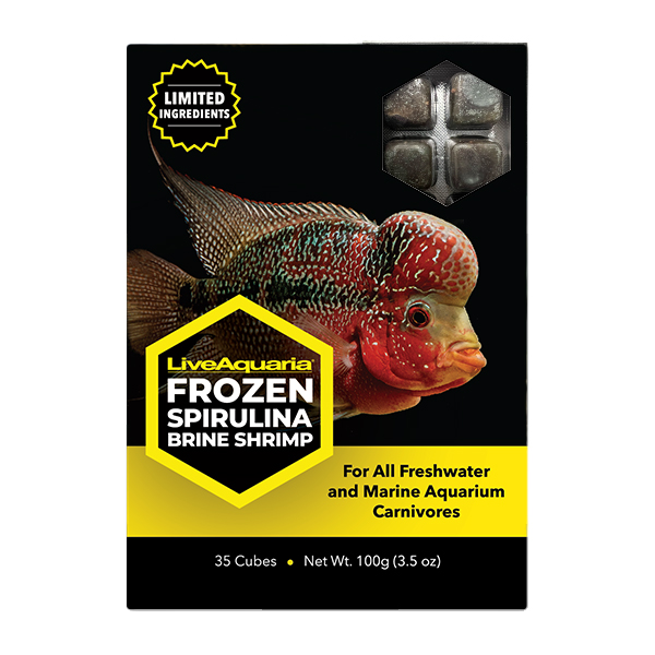 LiveAquaria® Frozen Spirulina Brine Shrimp - 3.5 oz Cubes