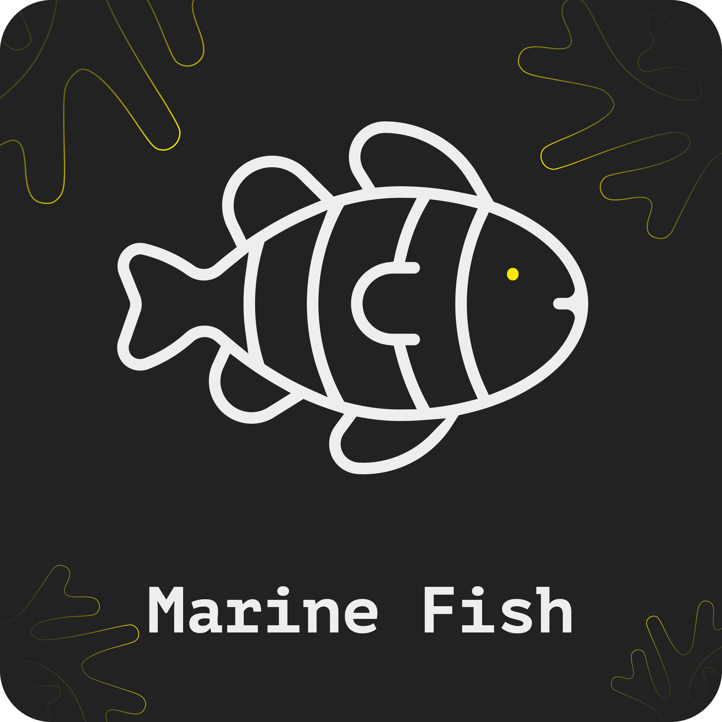 Marine Fish