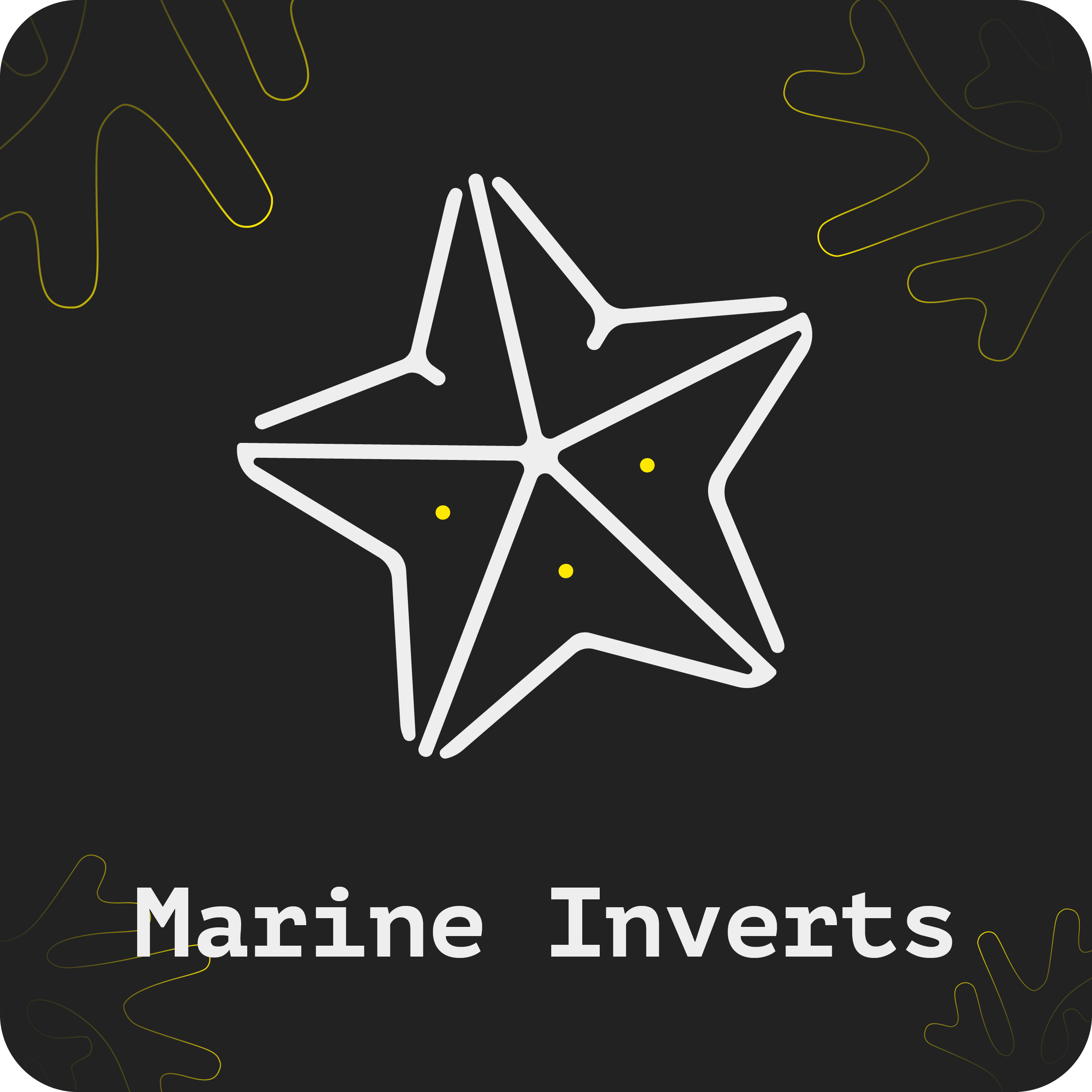 Marine Invertebrates