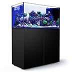 Red Sea REEFER Peninsula 500 Rimless Reef Ready System, Black 