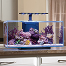 JBJ Rimless Desktop Aquarium