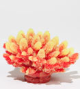 Aquatic Creations Yellow Acropora Aquarium Décor